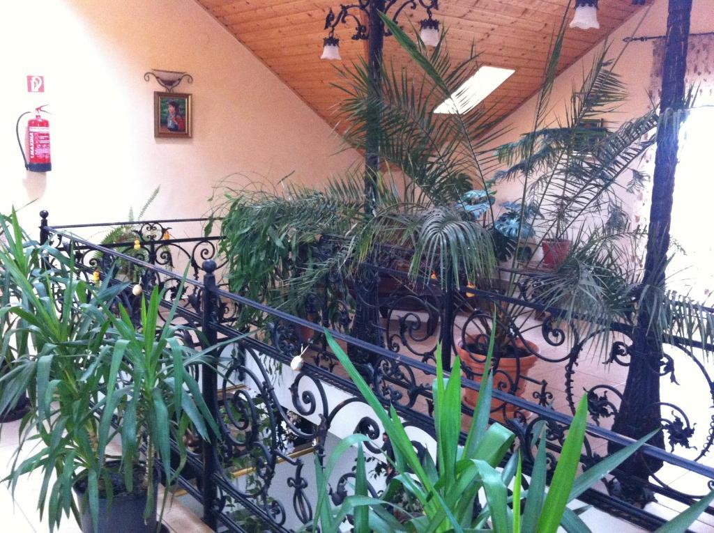 Bed and Breakfast Sarokhaz Panzio Vecsés Exterior foto